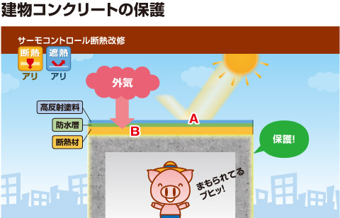 建物コンクリートの保護